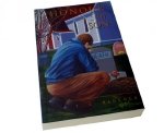 Novel