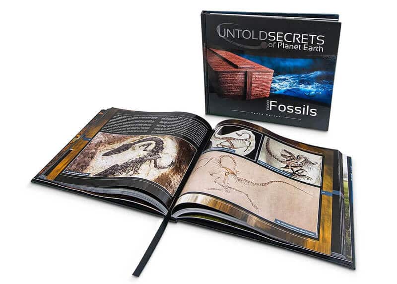 Hardcover or Softcover Book Printing