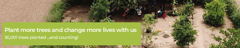Plant more trees and change more lives with us