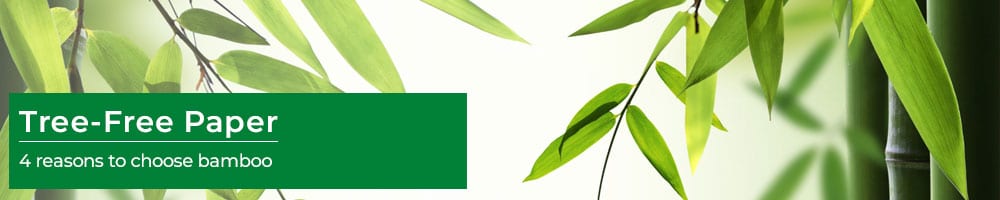 Tree-free Paper? Consider Bamboo Paper Stock