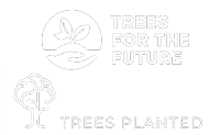 Trees for the Future | 41,715 trees planted