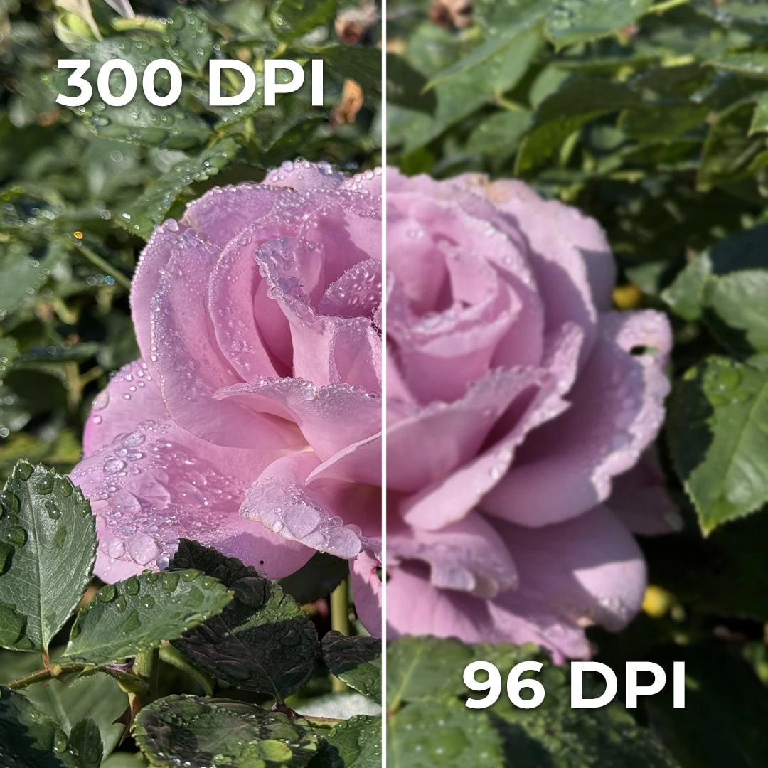 300 DPI versus 96 DPI enlarged preview.