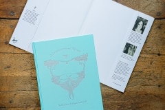 Adventures of Wren Adventures of Wren