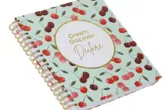 Dream Discover Declare Planner