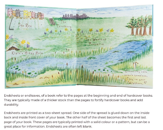 Endsheets of a book refer to the pages at the beginning and end of hardcover or softcover books. They are typically made of a thicker stock than the pages to fortify and add durability. Endsheets are printed as a two-sheet spread. One side of the spread is glued down on the inside back and inside front cover of your book. The other half of the sheet becomes the first and last page of your book. These pages are typically printed with a solid colour or a pattern, providing a great place for branding and information. Endsheets can also be left blank.