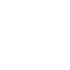 PDF icon