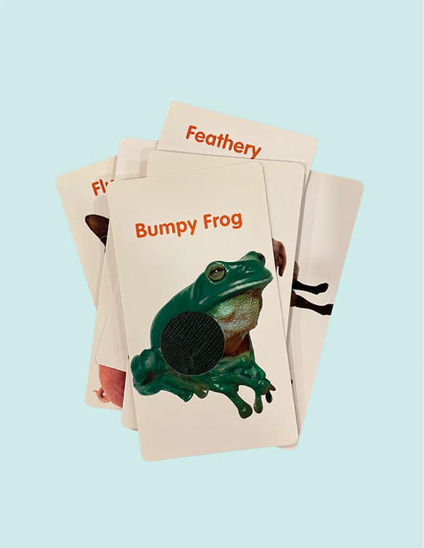 Texture Cards