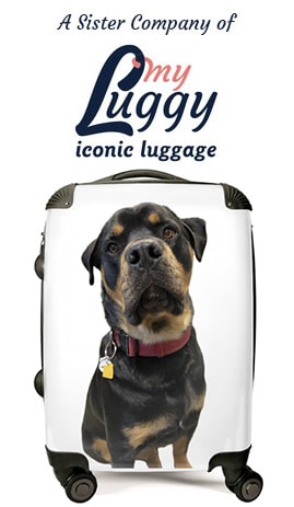 a Sister Company of myLuggy iconic luggage