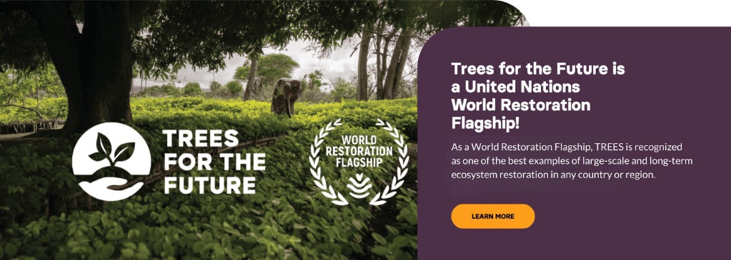 Trees for the Future | Trees for the Future is a United Nations World Restoration Flagship!